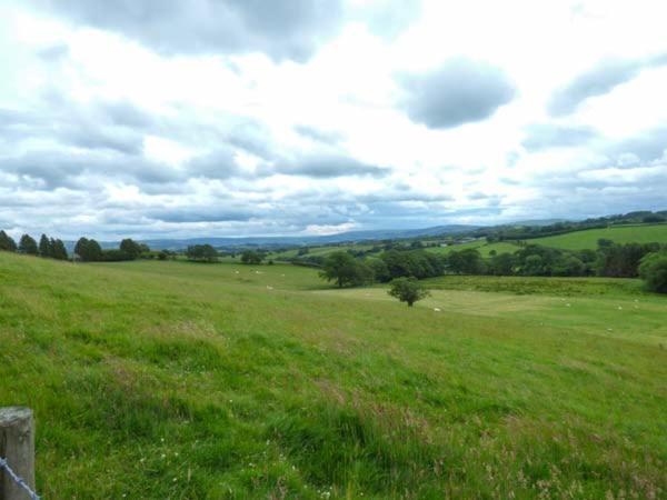 Black Mountain View Llanafan-fawr Eksteriør billede